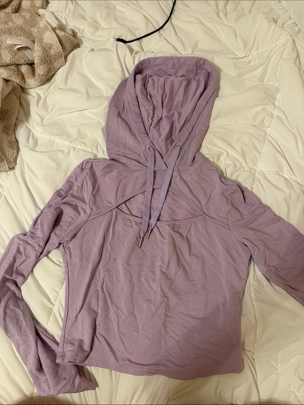 Light Purple Women's cropped Hooded Long-Sleeve Top